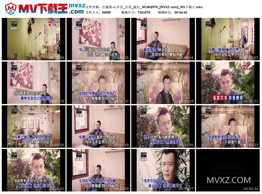 庄振凯-心不甘_台语_流行_MC402579